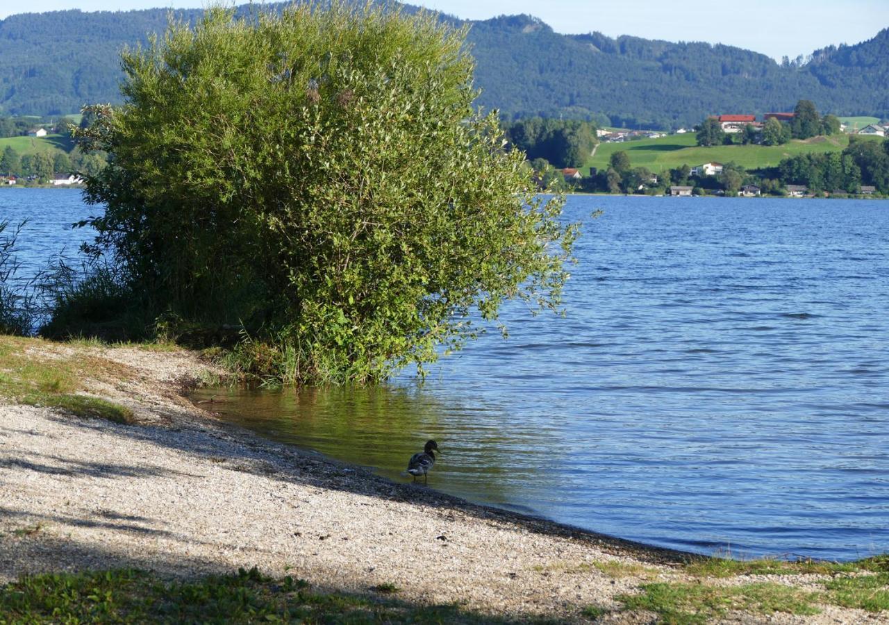 Refugio Del Lago Seekirchen am Wallersee Buitenkant foto