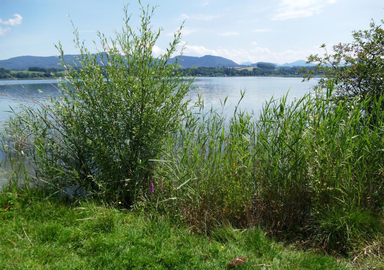 Refugio Del Lago Seekirchen am Wallersee Buitenkant foto