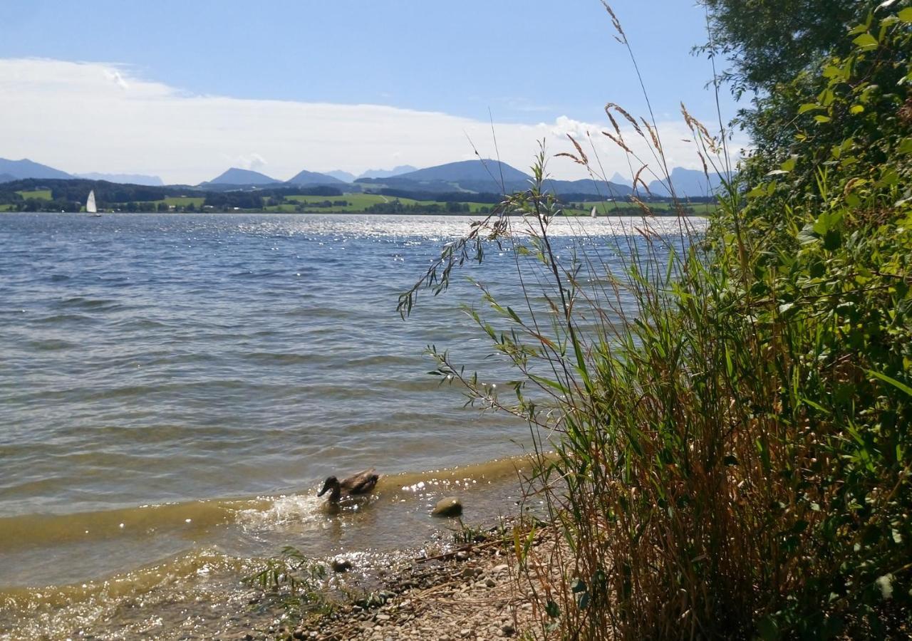 Refugio Del Lago Seekirchen am Wallersee Buitenkant foto